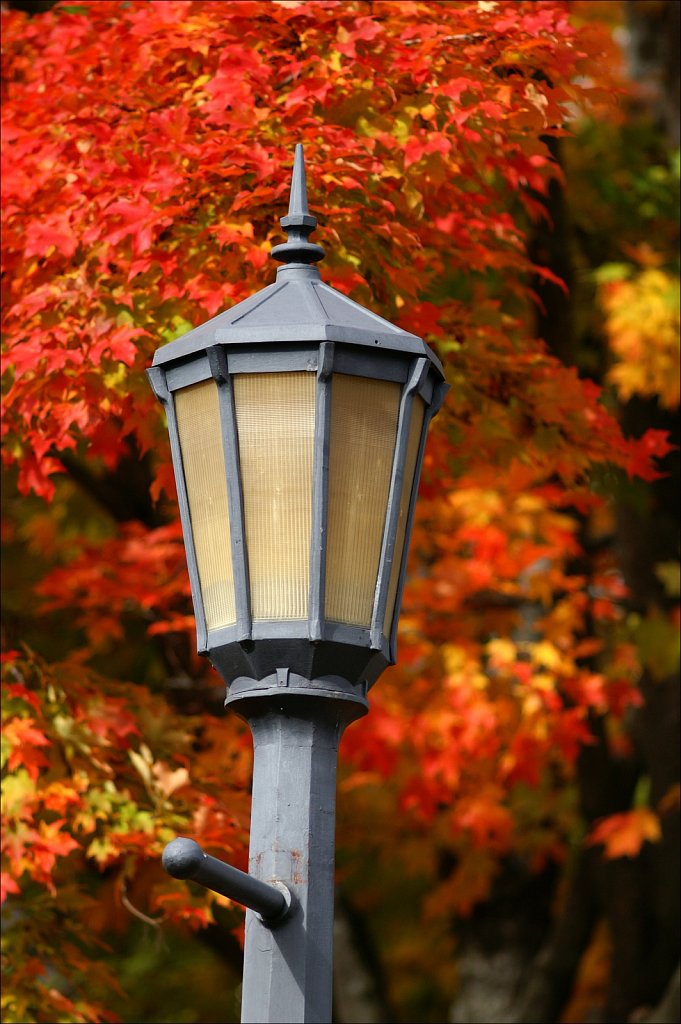 Autumn 2022