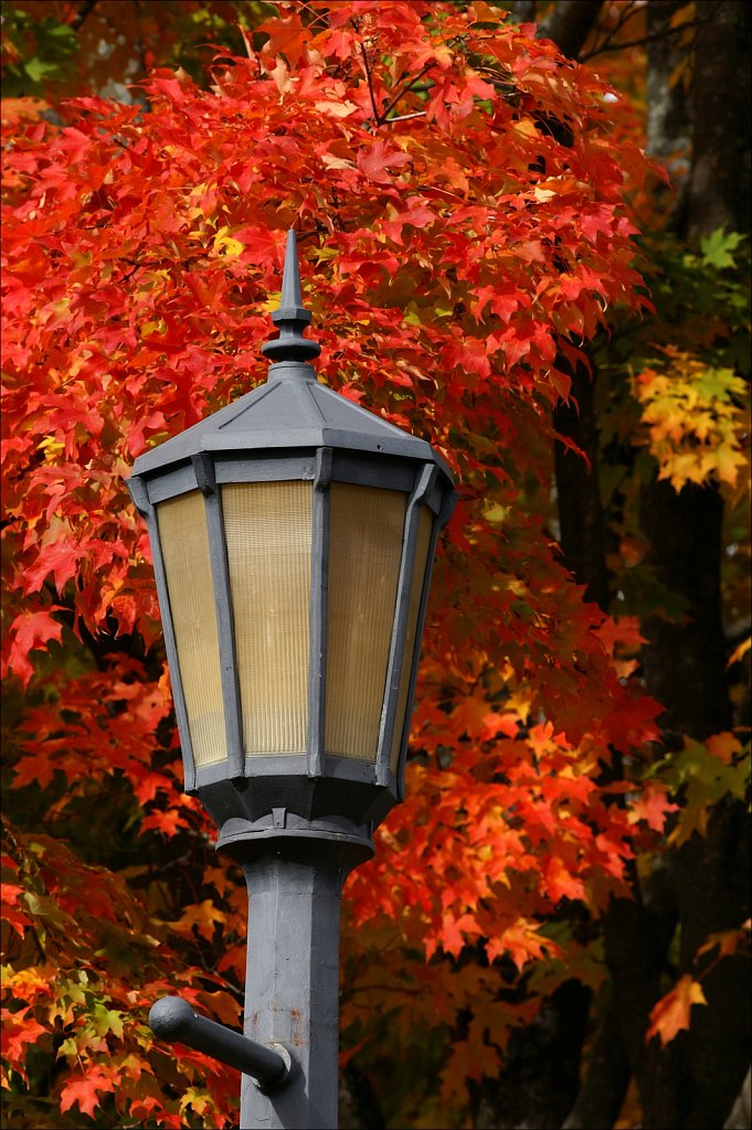 Autumn 2022