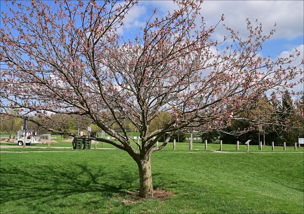 Turkey Brook Park