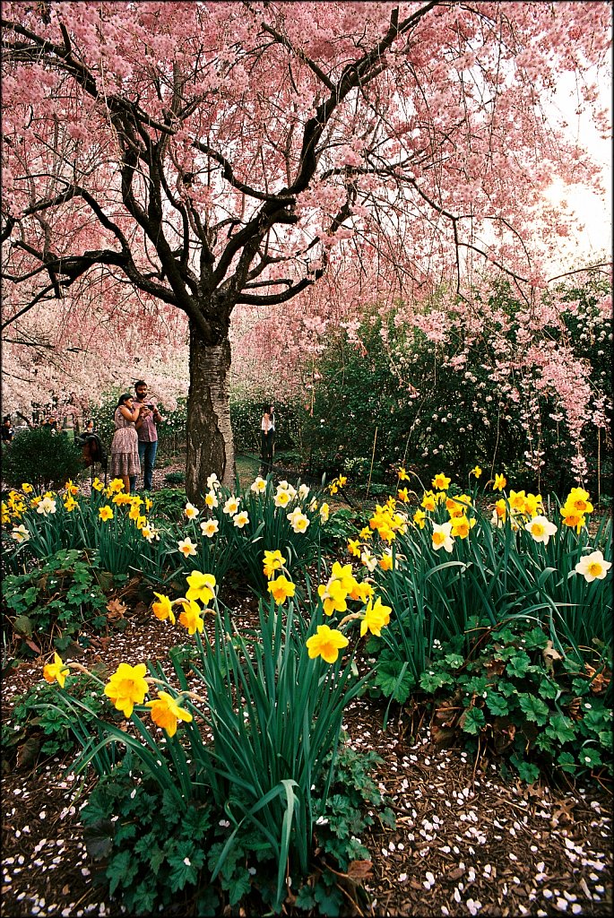 Branch Brook Park