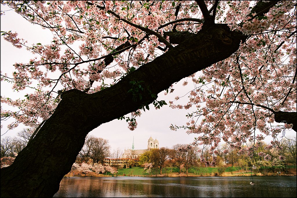 Branch Brook Park