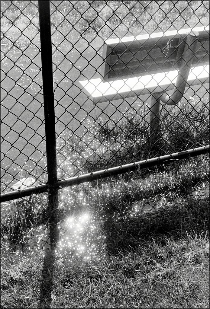 Turkey Brook Park