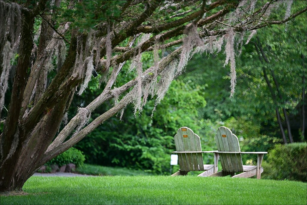 Willowwood Arboretum 