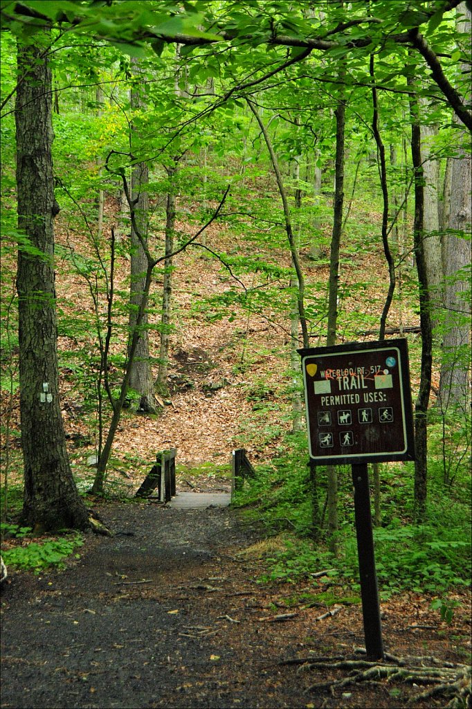 Sussex Branch Trail