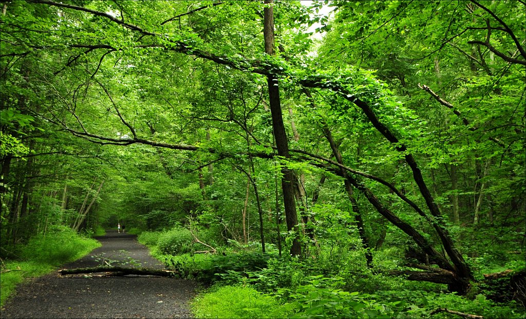 Sussex Branch Trail