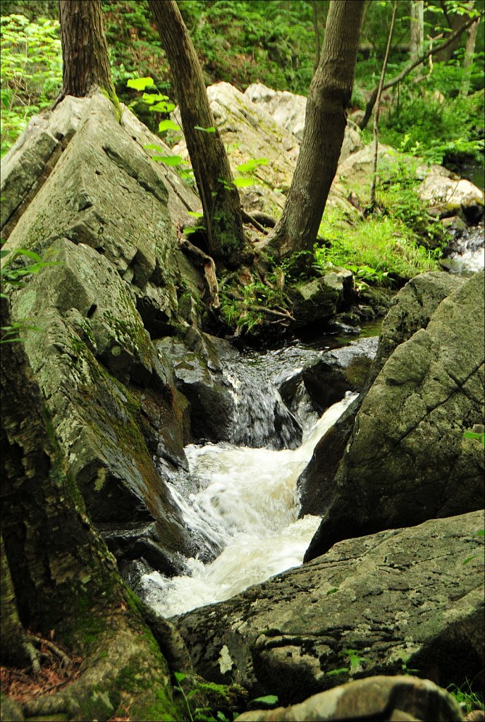 Sussex Branch Trail