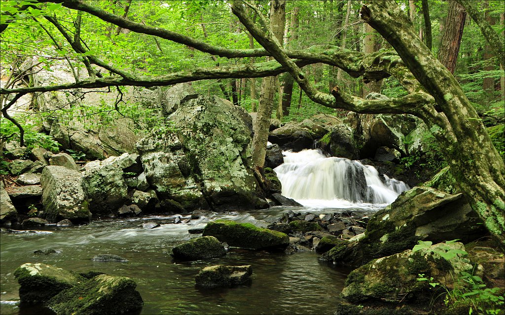 Sussex Branch Trail