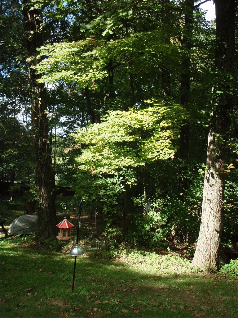 2023149F-P9290006.jpg