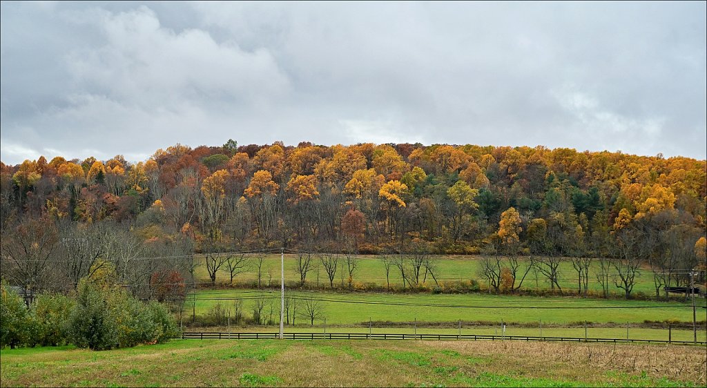 Apple Picking In Califon