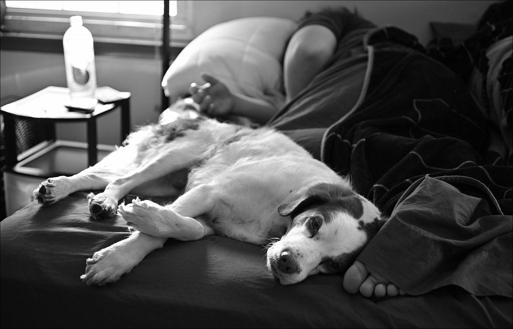 Project Black and White