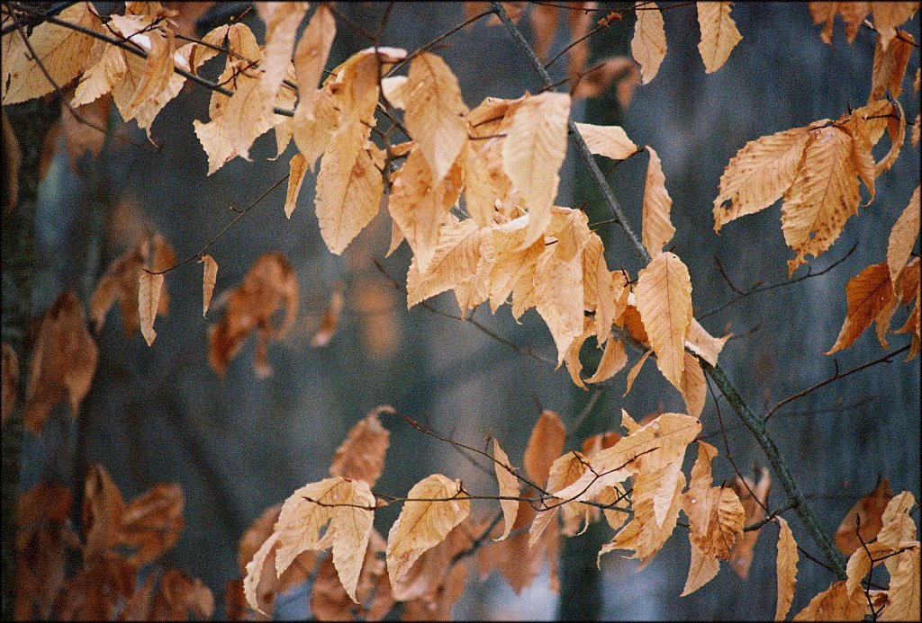 Allamuchy Mountain State Park 