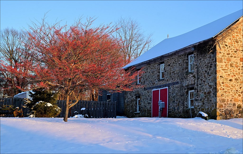 Winter Evening at Turkey Brook Park