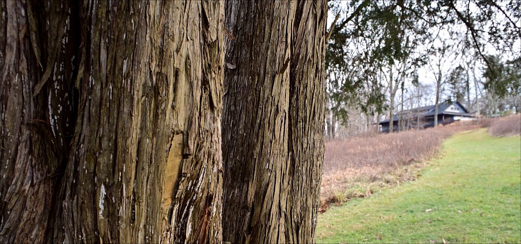 Schooley's Mountain Park