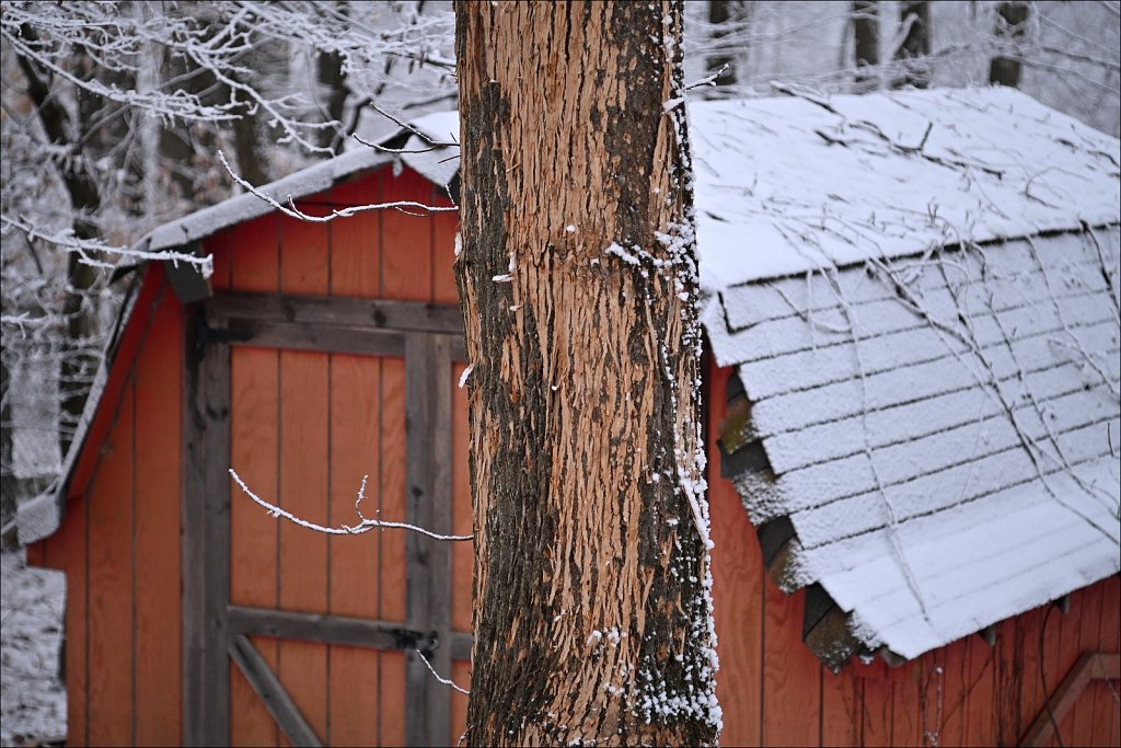 A Morning Dusting of Snow