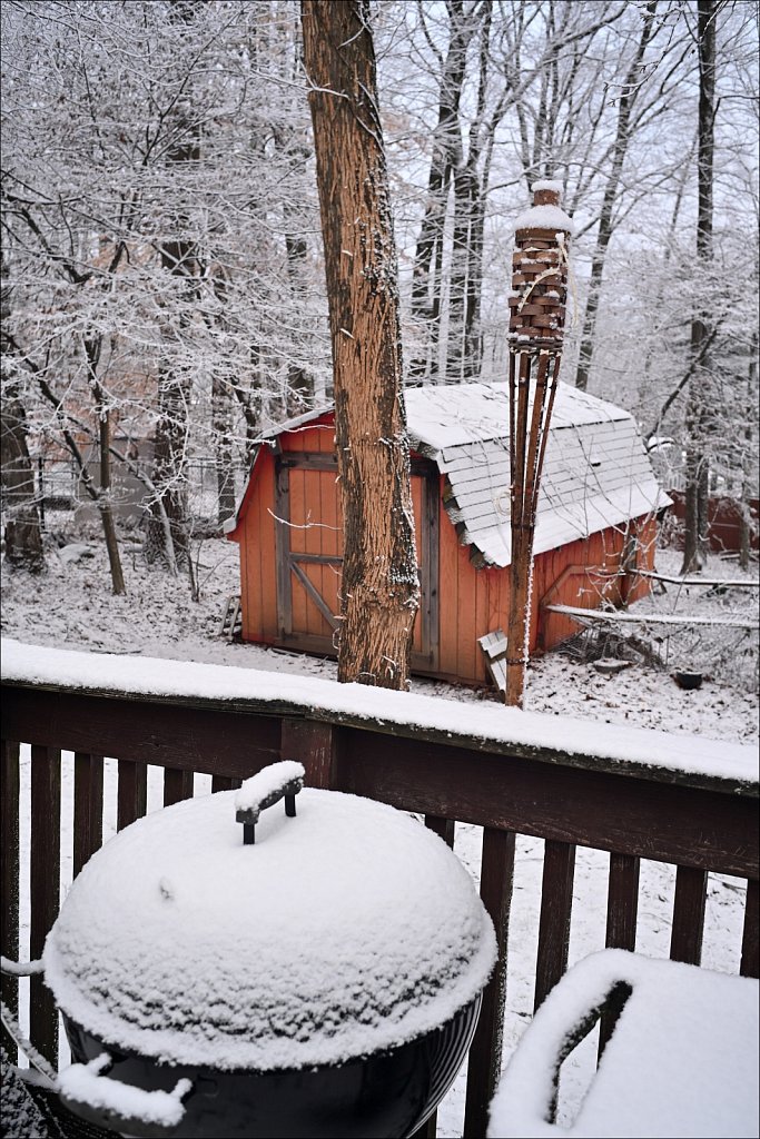 A Morning Dusting of Snow