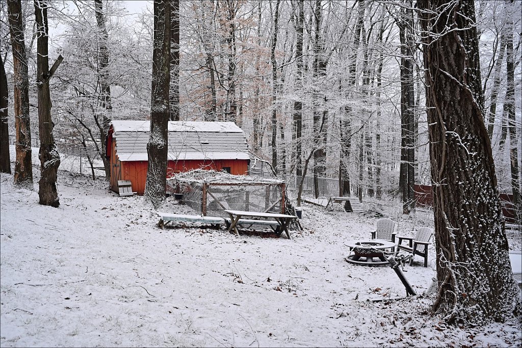 A Morning Dusting of Snow