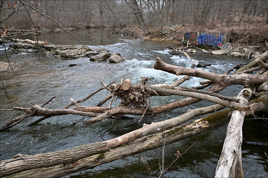 Along The Columbia Trail (Hunterdon County)