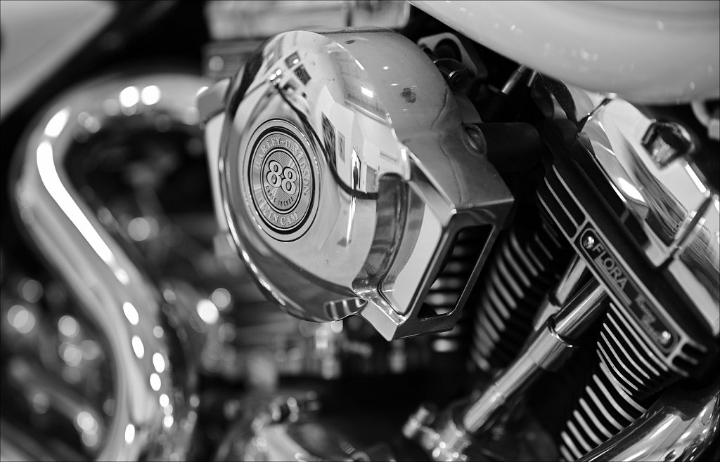 Testing Nikkor Z 135mm F/1.8 S Plena