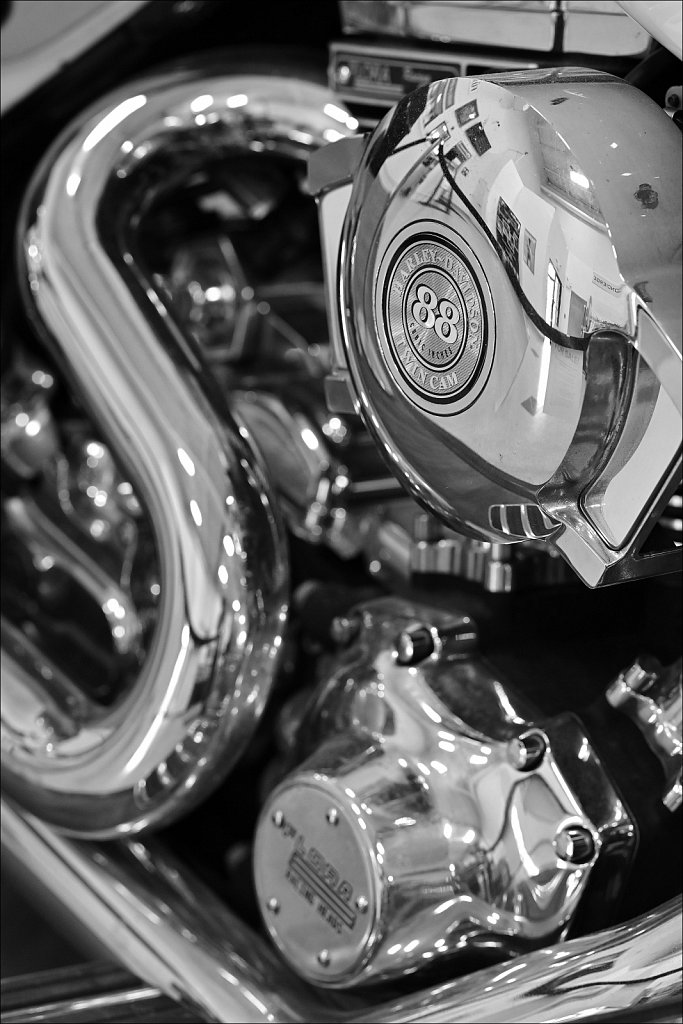 Testing Nikkor Z 135mm F/1.8 S Plena