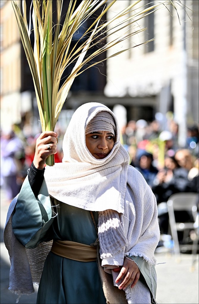 Way of the Cross