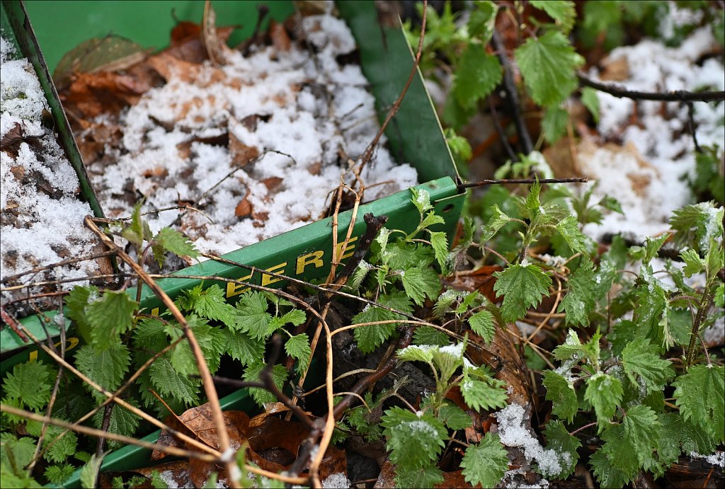 April Snow