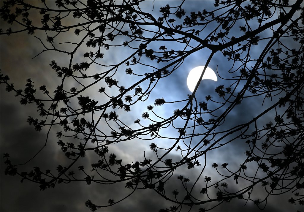 2024 Solar Eclipse