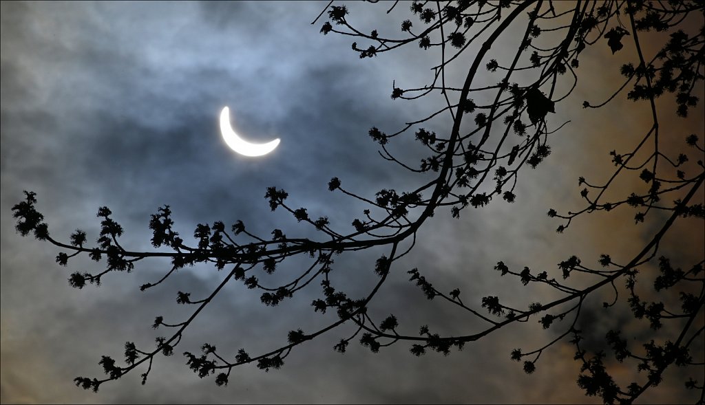 2024 Solar Eclipse
