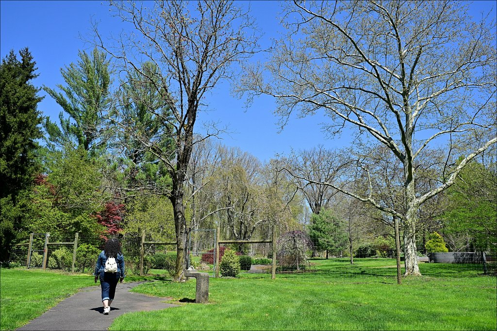 Hunterdon County Arboretum 