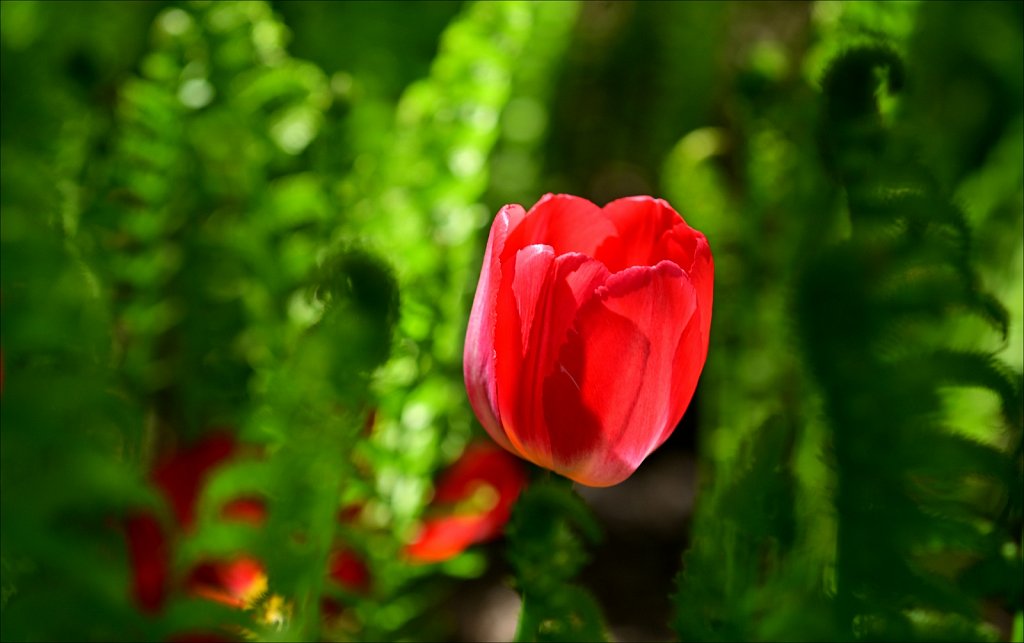 Hunterdon County Arboretum 