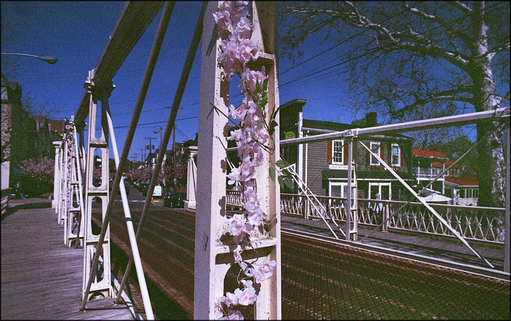 Red Mill Museum Village  