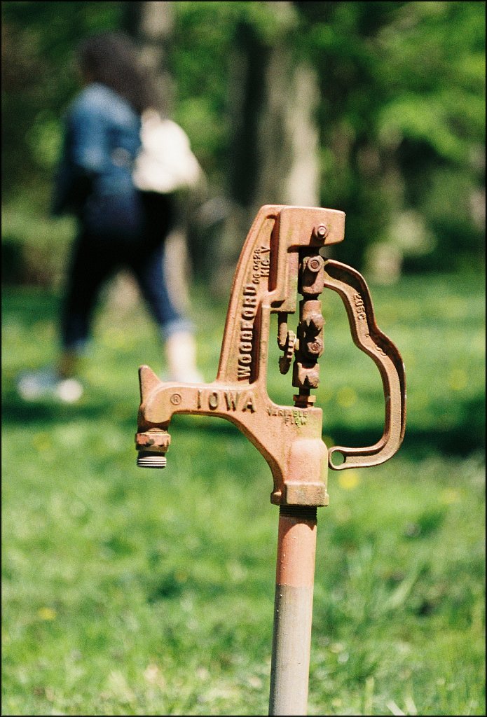 Hunterdon County Arboretum  