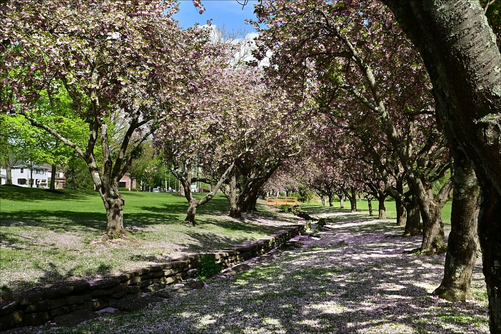 Hurd Park