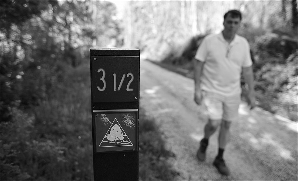 Along The Columbia Trail