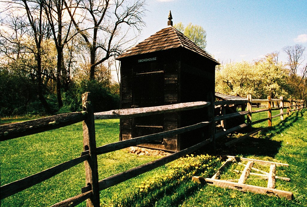 Jockey Hollow 