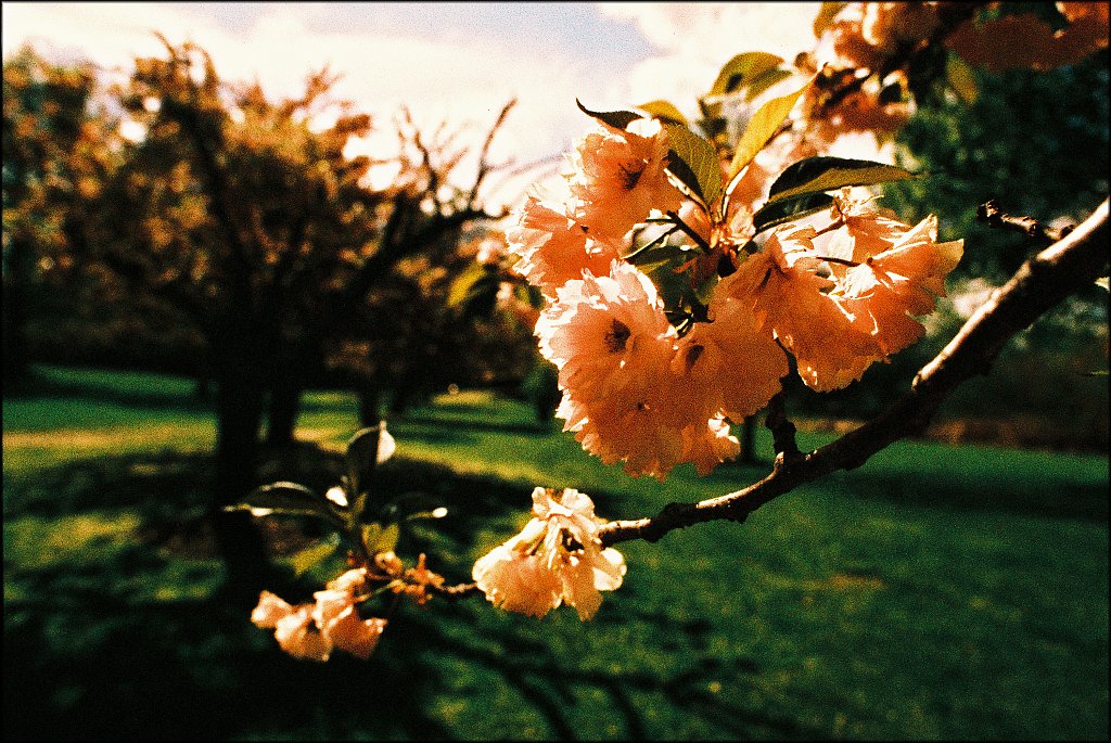 Hurd Park