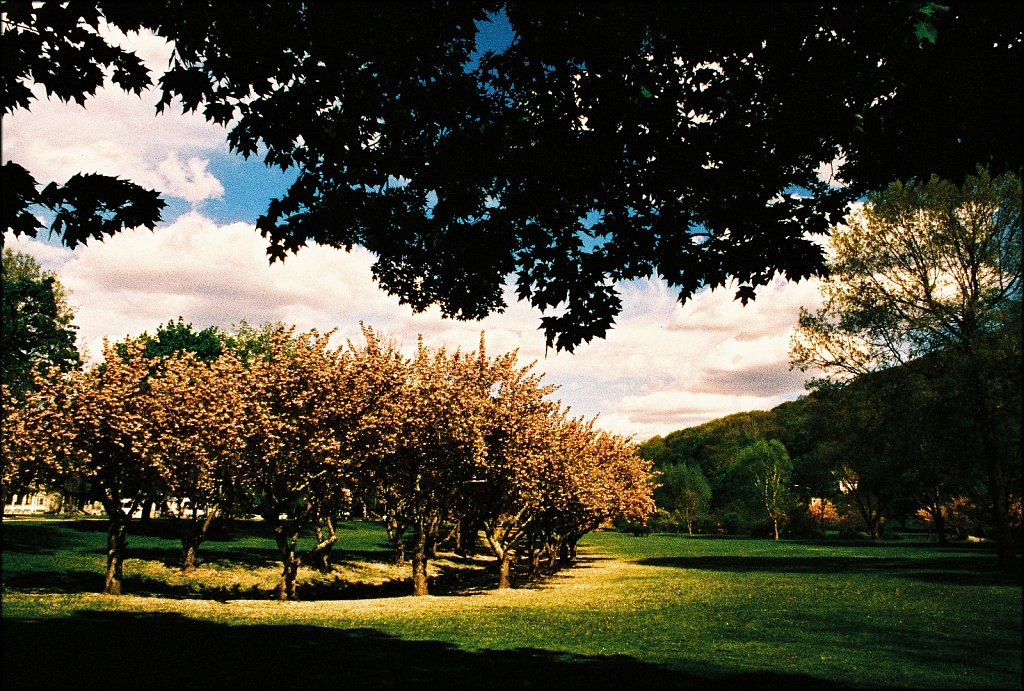 Hurd Park