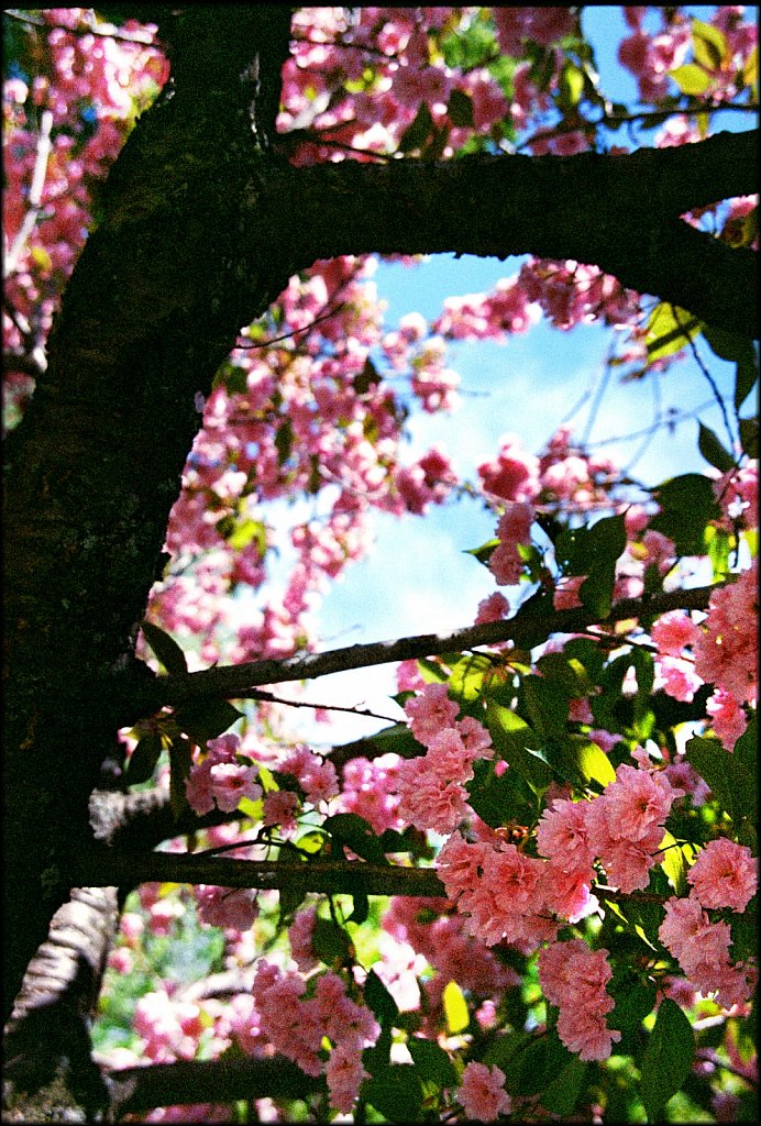 Hurd Park
