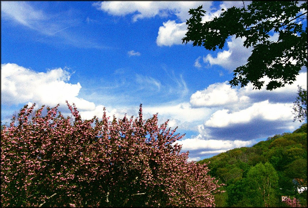 Hurd Park