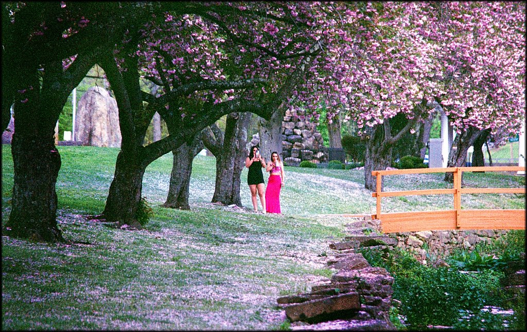 Hurd Park