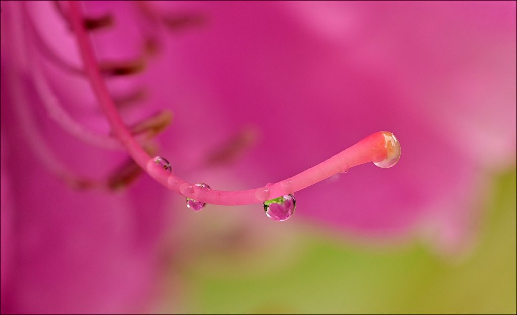 "An Extreme Close Up" Card 5