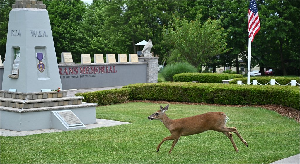 2024 Memorial Day