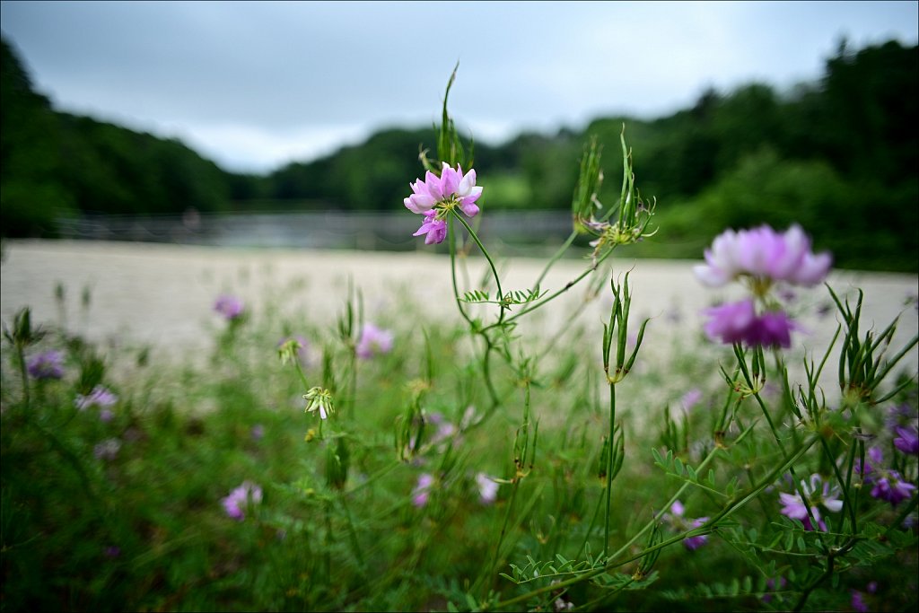 Schooley's Mountain Park 