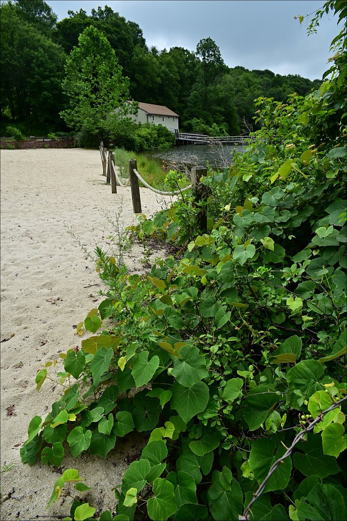 Schooley's Mountain Park 