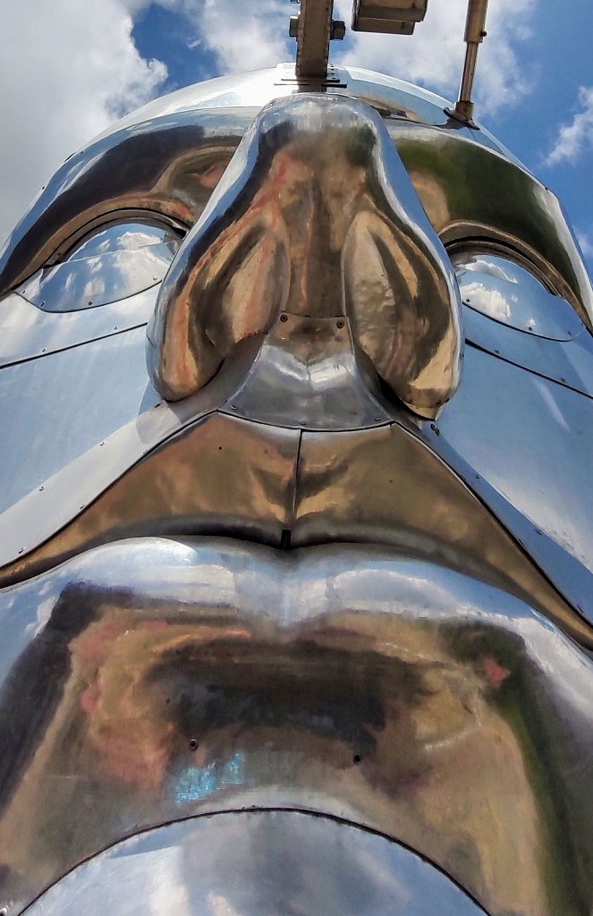 Card 24 "A Nose" 