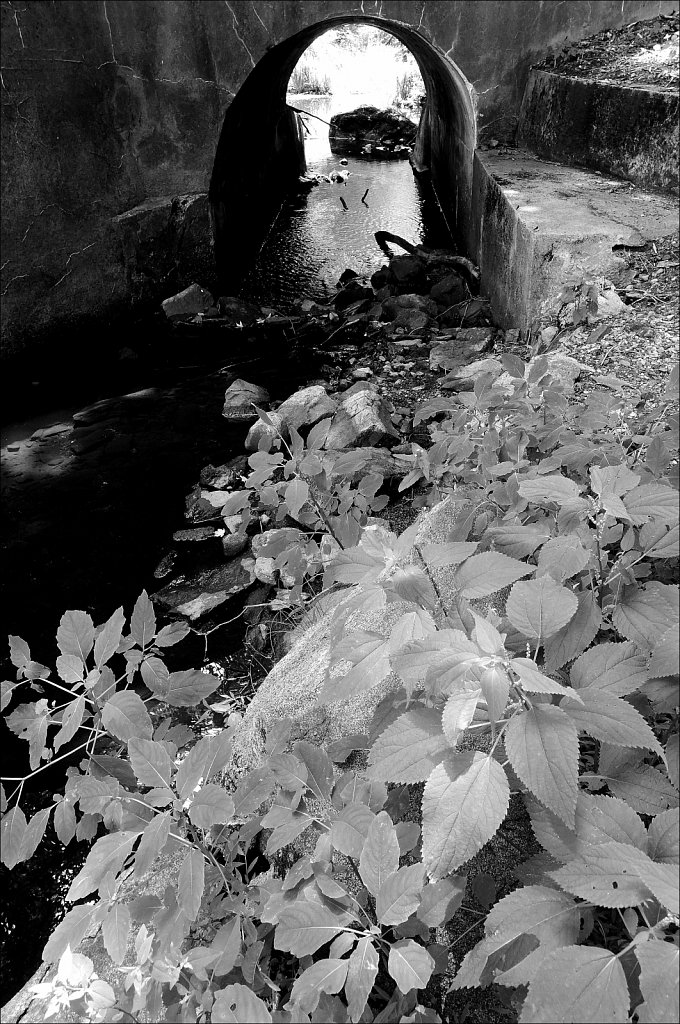 Sussex Branch Trail