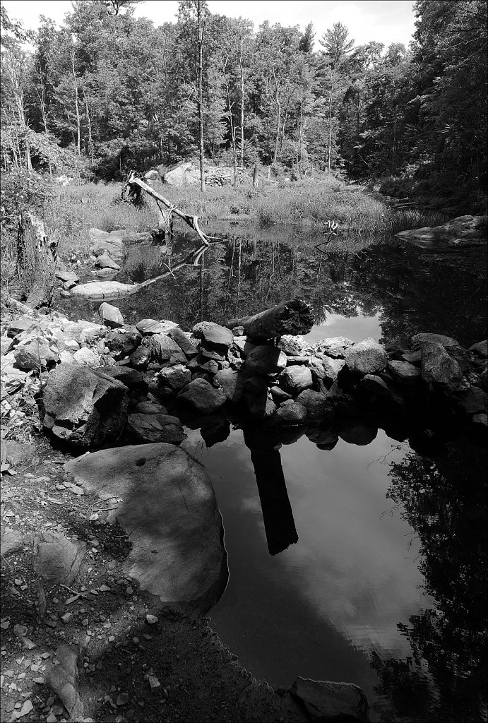 Sussex Branch Trail