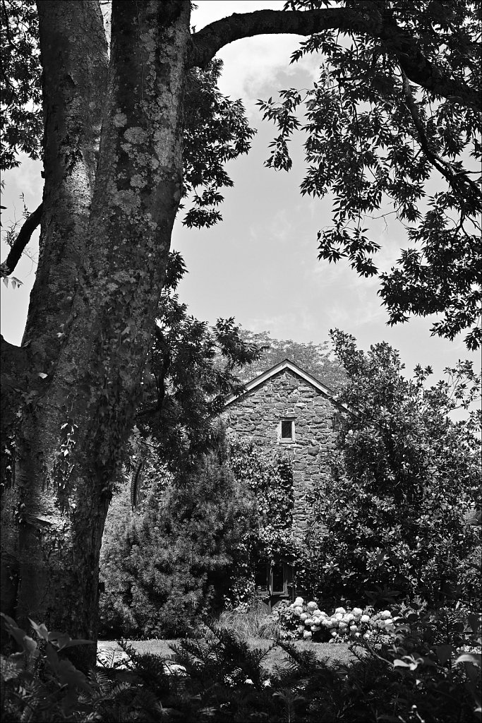 Willowwood Arboretum  