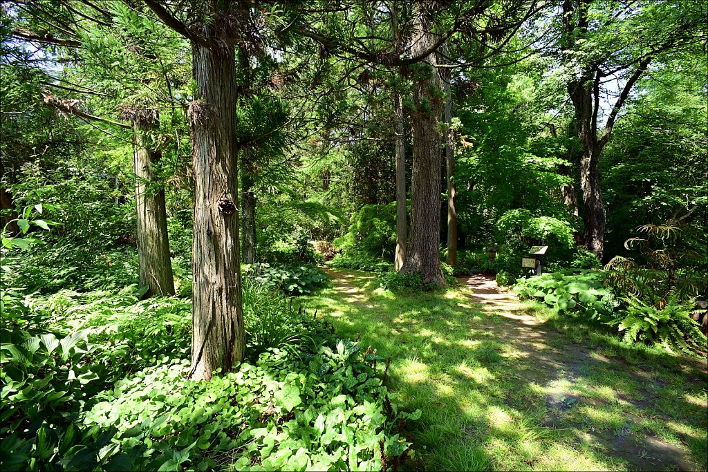 Willowwood Arboretum  