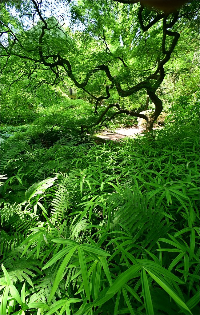 Willowwood Arboretum  