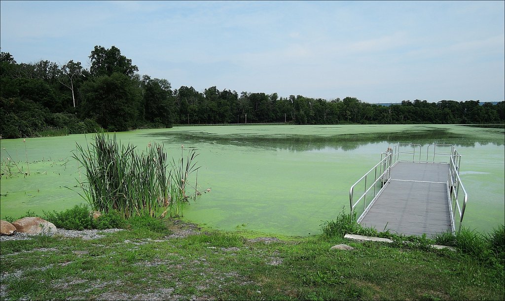 Delaware Lake